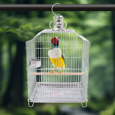 Cartavious 20.4" Flat Top Hanging Bird Cage with Perch