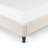 Cognac Upholstered Wingback Bed-702221605