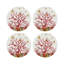 Napperon Coral Reef-117536473