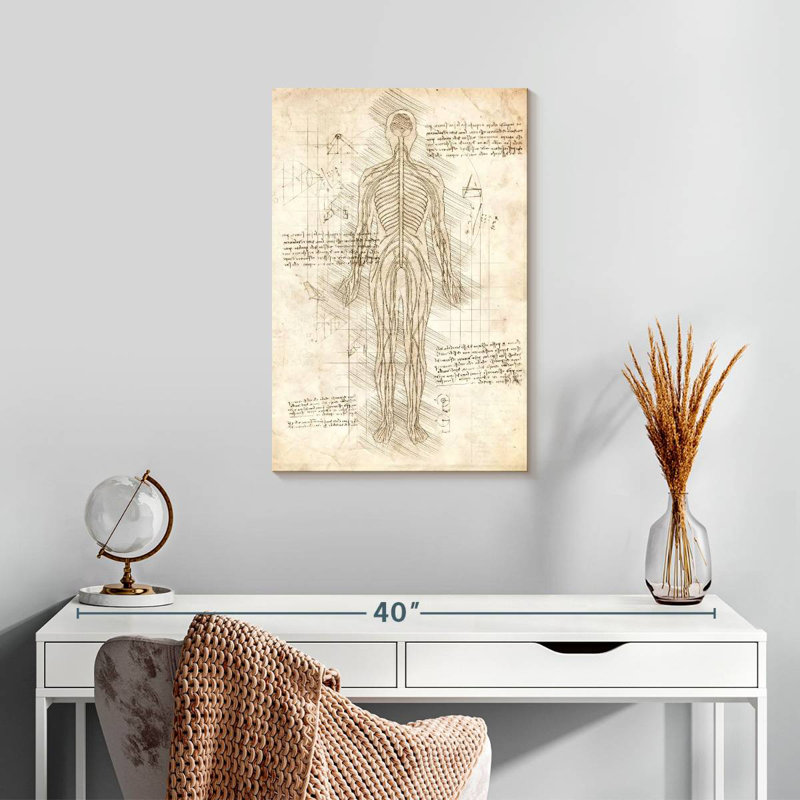 Keiri Human Nervous System, 24" H x 16" W
