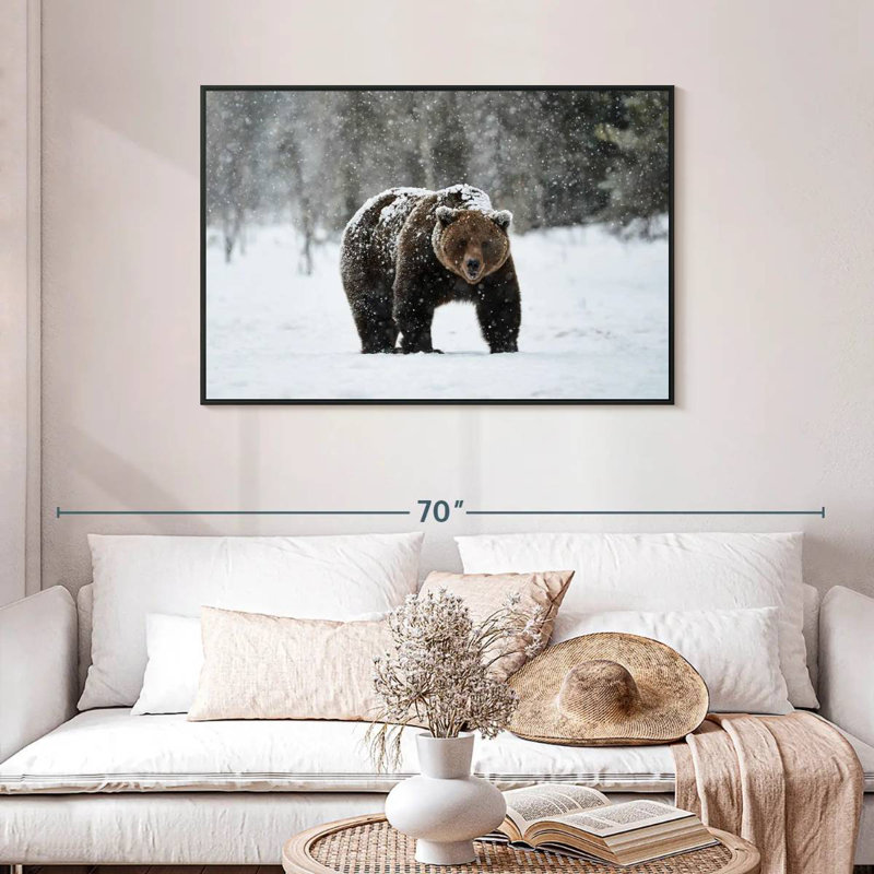 Winter Grizzly Bear, Floating Frame Black, 43" X 29"