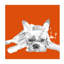 Vivid Puppies III Painting by Elle Youngstrom-26761544