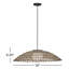Luminaire suspendu Hinkley Arlen