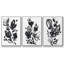 Cameo Bloom I 3 pièces-97758030-97758033