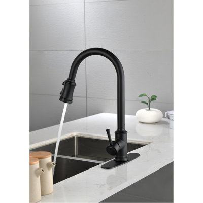 Robinet de cuisine noir mat, acier inoxydable, douchette extractible pour robinet d'eau en acier noir, fonction