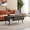 Lift Top Coffee Table With Storage For Living Room,Small Hidden Compartment And Adjustable Shelf,Mid Century, Modern ,Wood -  George Oliver, D6213BCCA4304A14B86382865856FB3B