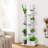Eliades Bookcase-1139626846