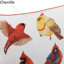 Housse de coussin décoratif cardinal 18 po x 18 po
