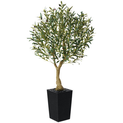 Adcock Olive Tree in Decorative Vase