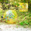 Boule de regard en verre Rovanio-517123575