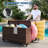 Pool Float Storage Organizer with Rolling Wheels, All-Weather PE Rattan Pool Caddy, 2 Open Compartments + Side Slots-293930976
