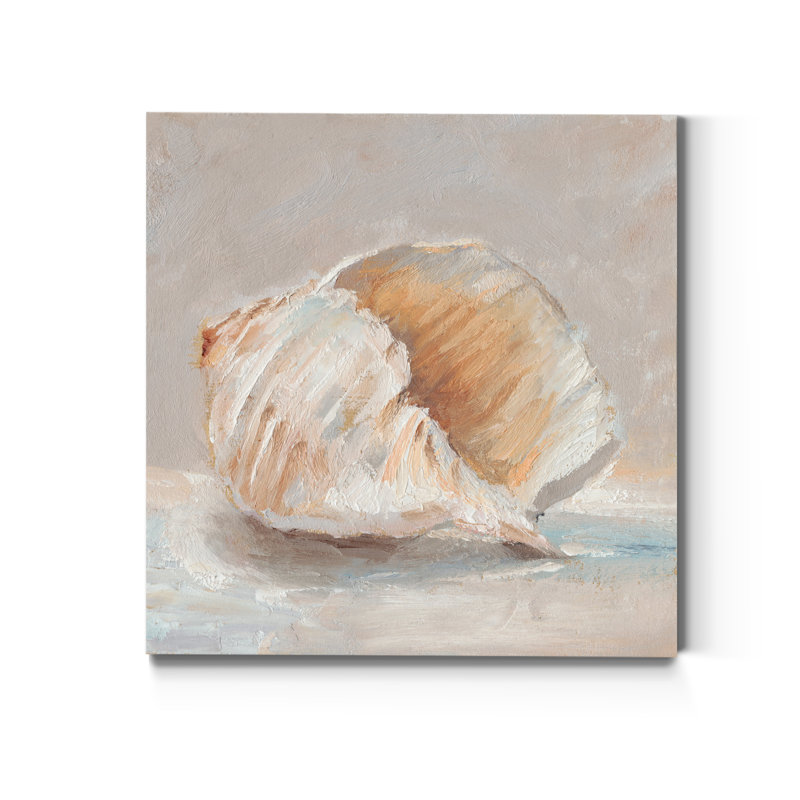 Impressionist Shell Study IV - Impression sur toile tendue, H 16 po x l 16 po x P 1 po