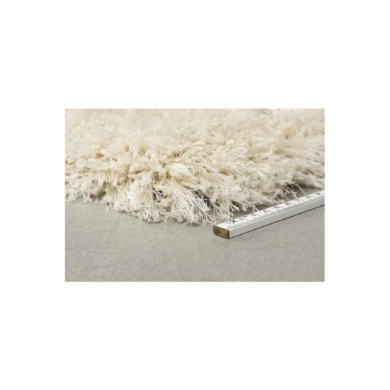 Curly Area Rug 5' X 7'5", Rectangle 5'3" x 7'7"