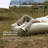 Air Mattress