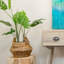 Bay Isle Home Seagrass Decorative Basket