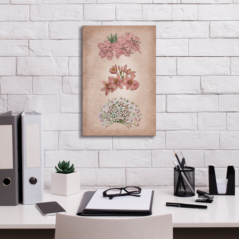 Epic Graffiti 'Vintage Flowers Pink'  by Art Licencing Studio Canvas Wall Art, 12" x 18", H 18 po x l 12 po x P 0,75 po