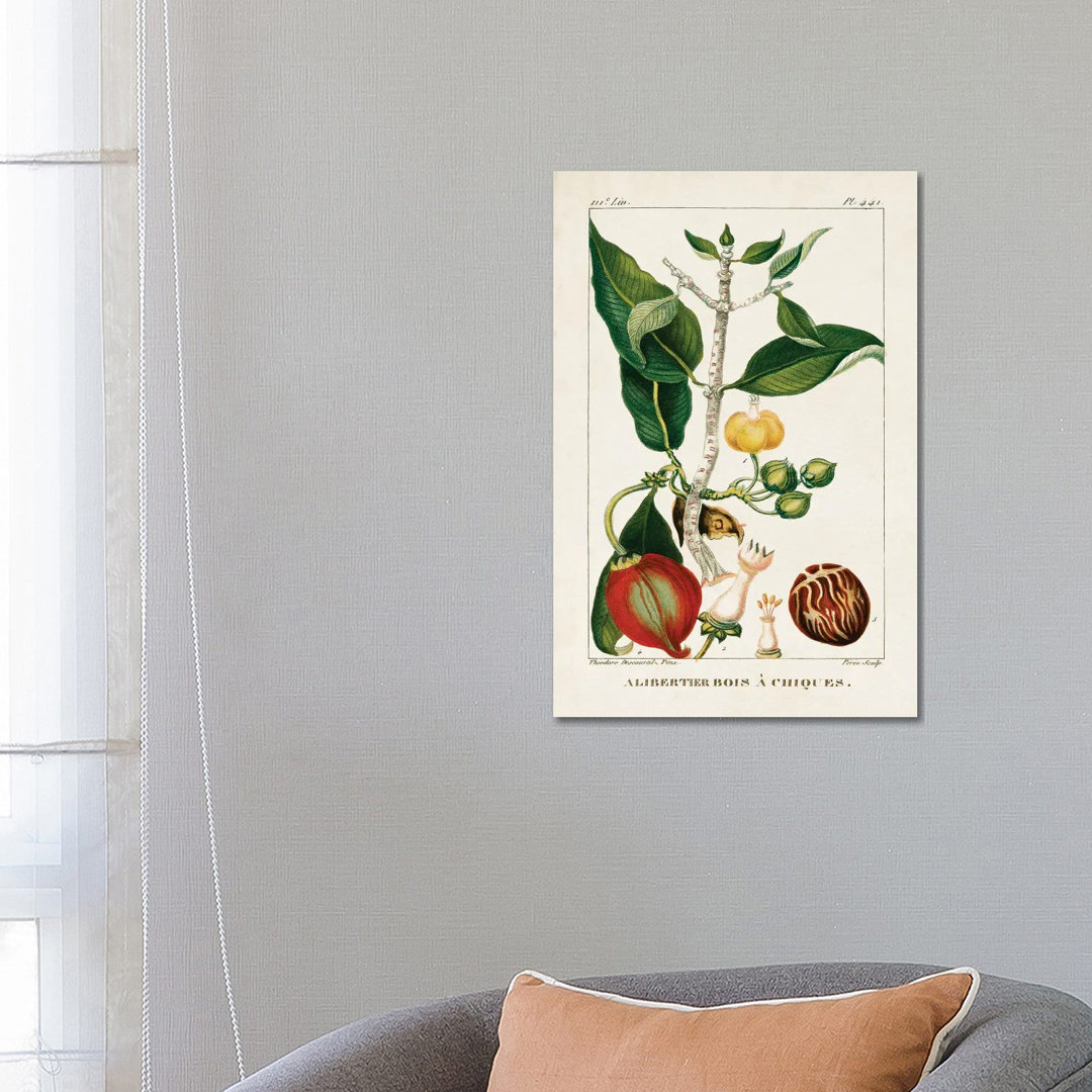 Turpin Foliage & Fruit III von Turpin - Ohne Rahmen Galerieverpackte Leinwand Giclée auf Leinwand