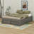 Queen Size Platform Bed Frame With 4 Under-Bed Drawers & Footboard Storage Cubby, Headboard-Free Modern Design-1433761496