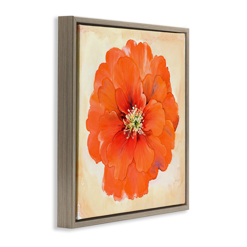 "Mixed Media Flowers", art mural encadré par Christine Zalewski, Cadre flottant orme Montalcino, H 18 po x l 18 po