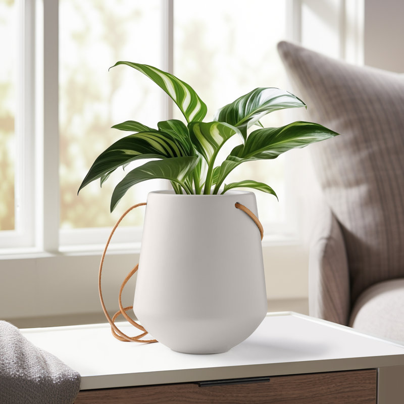 Pot à fleurs suspendu en céramique Nonce, H 6,5 po x l 5,75 po x P 5,75 po, Blanc