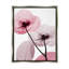Aw-999-Fleurs de pavot roses encadrées par Albert Koetsier-472628200-472628198