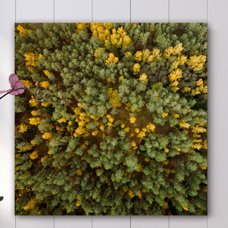 «Yellow and Green Trees» par Karolis Janulis, reproduction de photo sur toile tendue, H 40 po x l 40 po x P 1,5 po