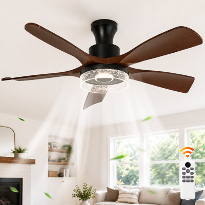 Ceiling Fan