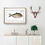 African Herring Fish by M.E. Bloch - Single Picture Frame Painting-55547780-55547778