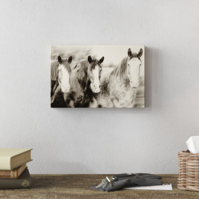 Three Amigos II by PHBurchett - Photograph