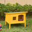 Omarion Cat House
