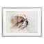 «Expressive Dog Face», reproduction encadrée sous verre, conception de Cady-479735834-479735828