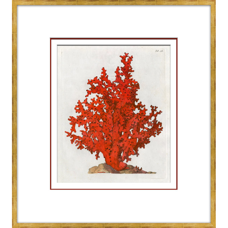 Coastal Collection - Coral in Red - cadre photo, impression sur papier