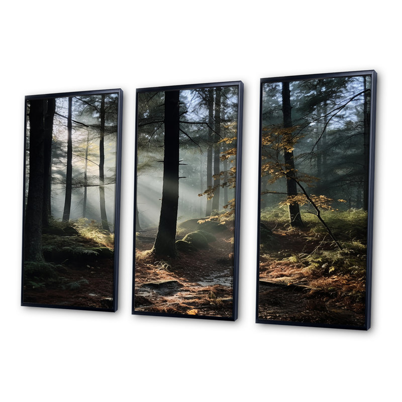Forêt de pin, paysage d'automne, ensemble d'art mural, H 28 po x l 36 po x P 1 po, Cadre flottant noir