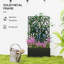 Wall Planter