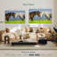 Couple de chevaux Hardie-106307698