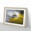 Dragonfly upon a Thistle in Abstract - Picture Frame Graphic Art Print-55734119-55734122