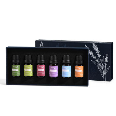Ensemble d'huiles essentielles 10 ml SteamSpa, 6 pièces pour diffuseur et humidificateur SteamSpa