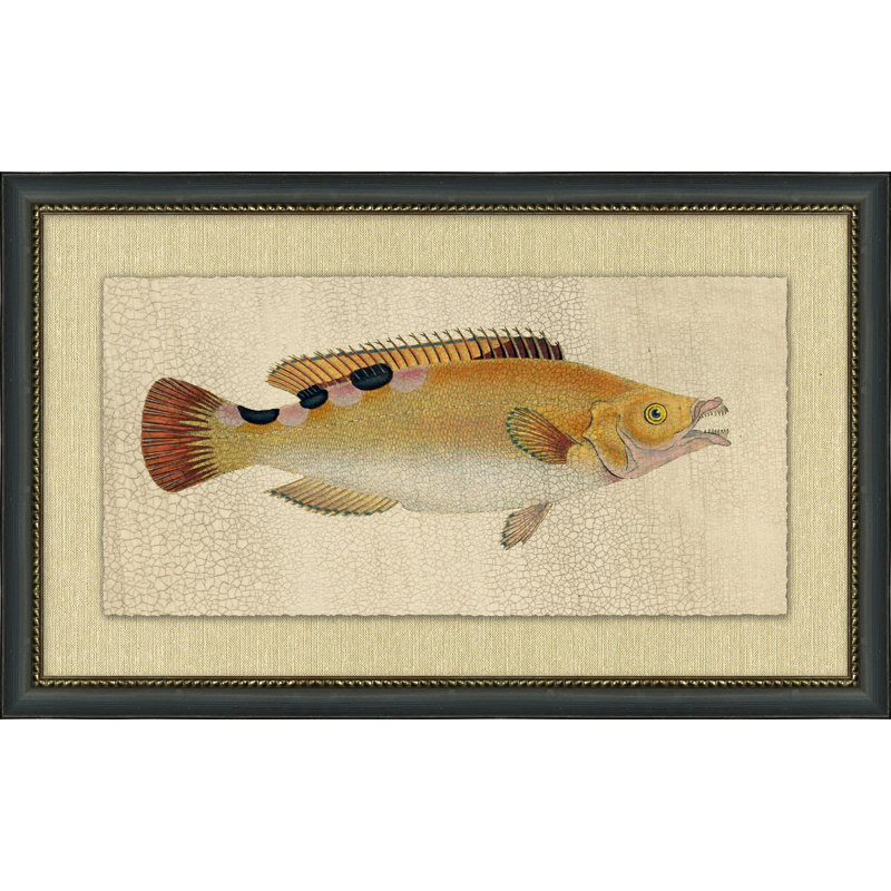 Fish Study 2 Painting