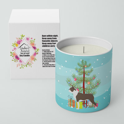 Pine / Christmas Tree Scented Jar Candle with Ceramic Holder