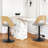 Hittel Swivel Upholstered Adjustable Height Counter Stool with Metal Frame-99418679