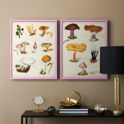 Champignon VI - reproduction encadrée de qualité supérieure - prêt à être accroché - aucun clou requis - aucun clou requis
