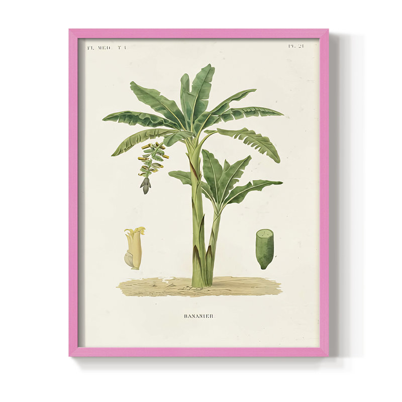 Arbre antique avec fruit III, reproduction encadrée - bois massif, H 21 po x l 17 po, Rose