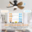 74cm Ceiling Fan with LED Lights-1015486510-1015486505