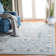 Troutville Oriental Hand Woven Area Rug