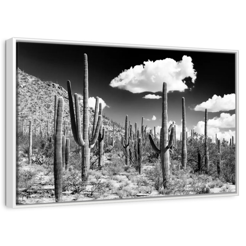 Arizona noir - forêt de cactus, Cadre flottant blanc, 46 po x 31 po
