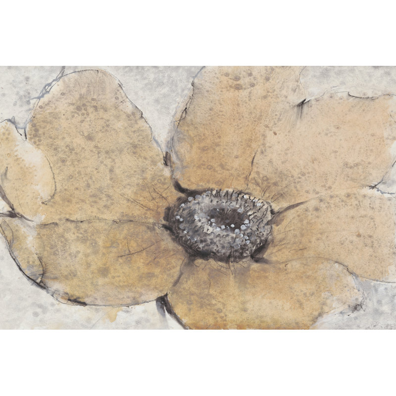 Transparency Flower III by Tim OToole - Wrapped Canvas Painting, 30cm H x 46cm W x 3.8cm D