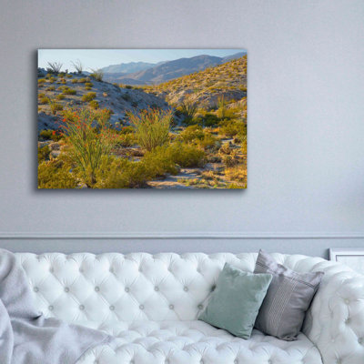 «Desert Ocotillo Landscape» par John Gavrilis, estampe numérique sur toile