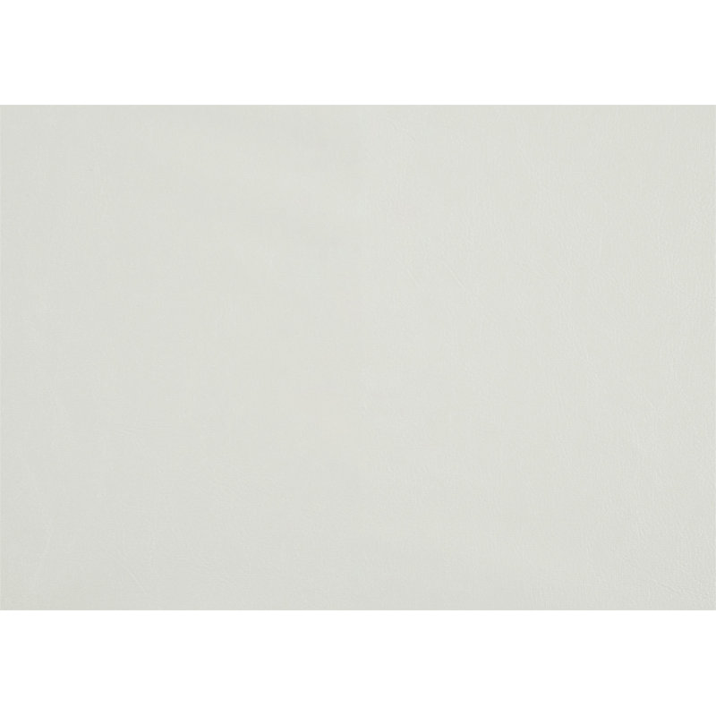 Chaises d'appoint rembourrées (ensemble de 2), White