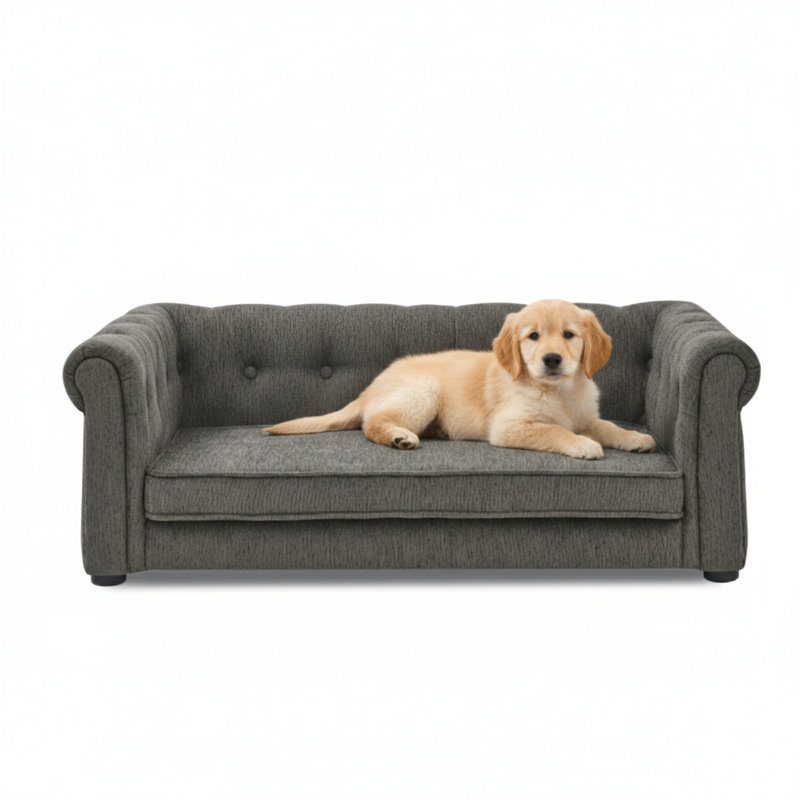 Lit rectangulaire sophistiqué pour animaux de compagnie de taille petite à moyenne. Conçu comme un canapé surélevé durable pour un confort accru. Design moderne et tendance. Finition en matériau gris foncé.