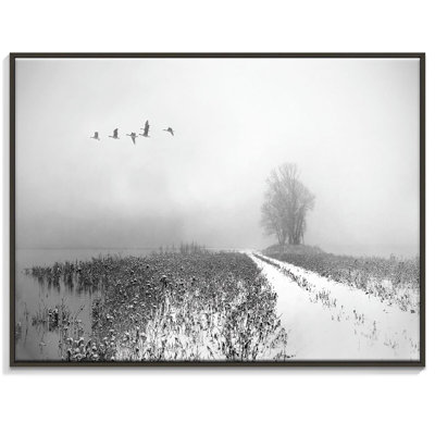 Print on Canvas